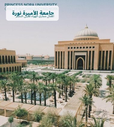 Nora university